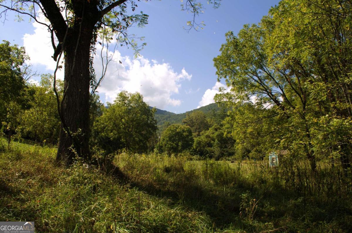Tract 1 Fortenberry Road  Blairsville GA 30512 photo