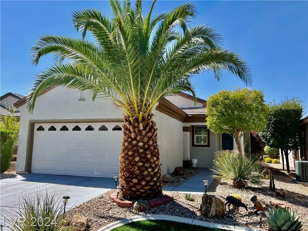 Property Photo:  2519 Starlight Valley Street  NV 89044 