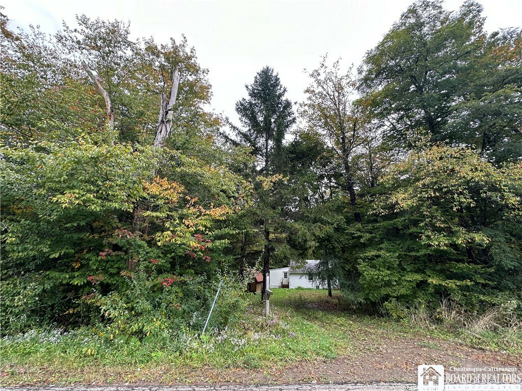 Property Photo:  8821 Stebbins Road  NY 14737 