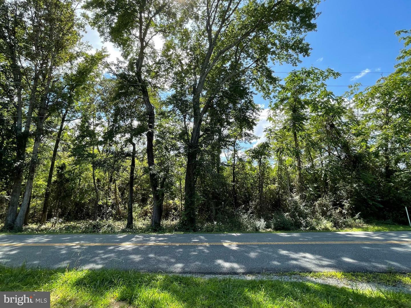 Property Photo:  19-96 Flat Iron Road  VA 22520 