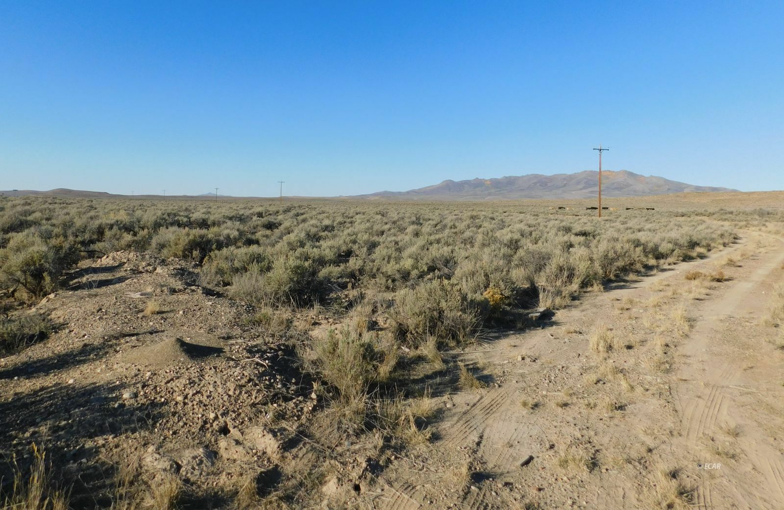 Property Photo:  Tbd SR 225 Highway  NV 89801 