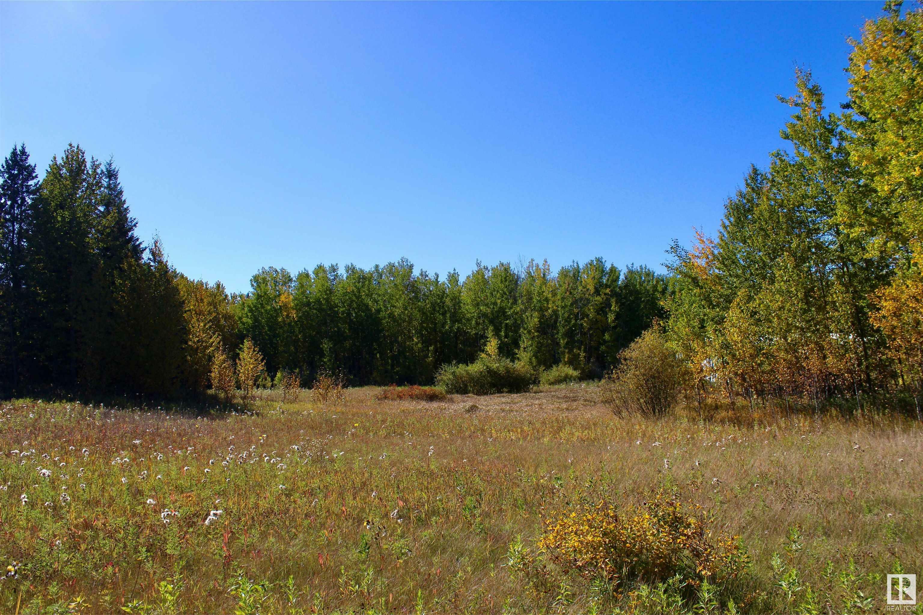 50529 Rge Road 21 113  Rural Parkland County AB T0E 2N4 photo