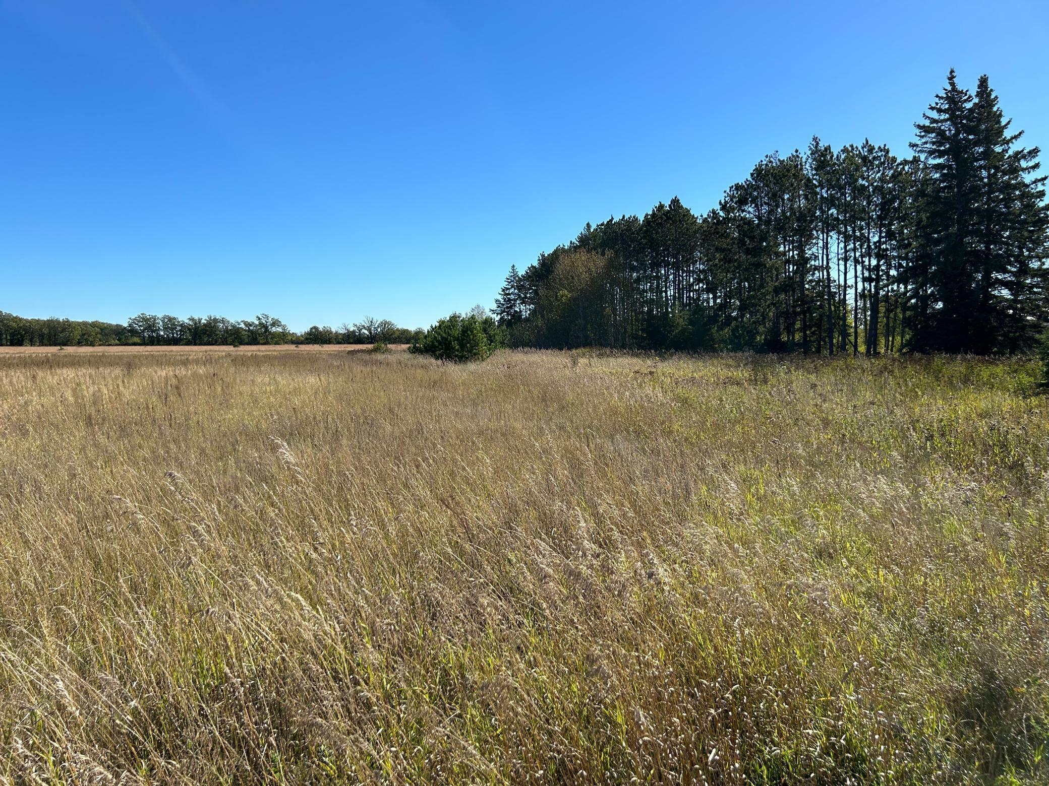 Property Photo: Tbd Co 26 MN 56575