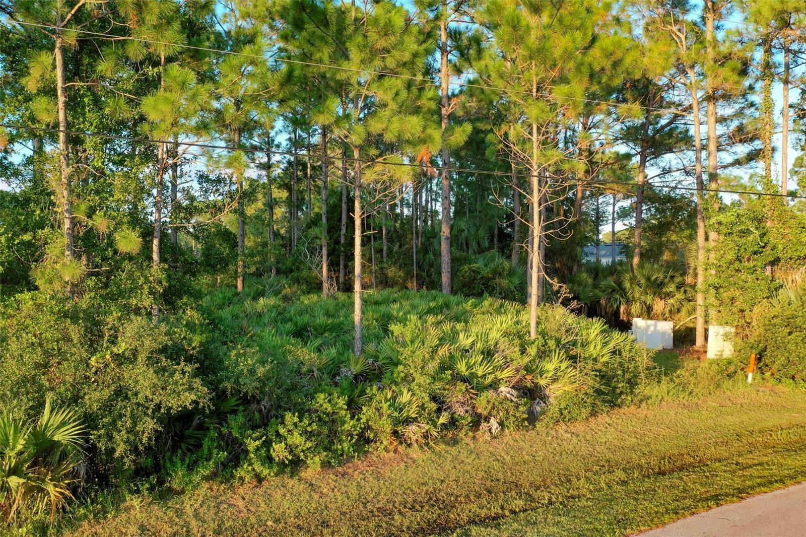 Property Photo:  71 Sea Trail  FL 32164 