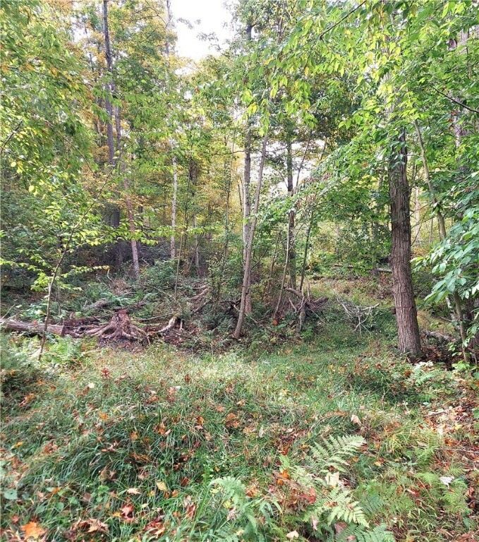 Property Photo:  0 Valley Road  PA 16342 