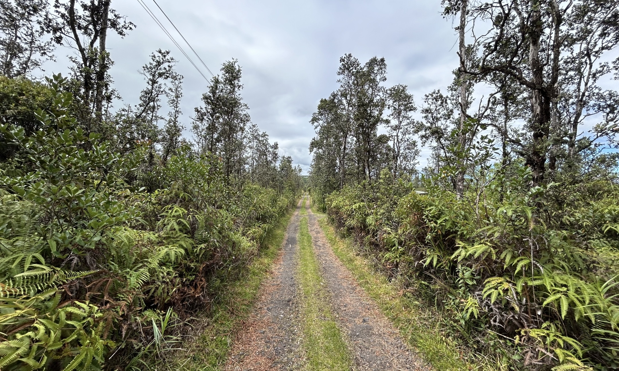 Property Photo:  Io Kea Rd (Road 4)  HI 96771 