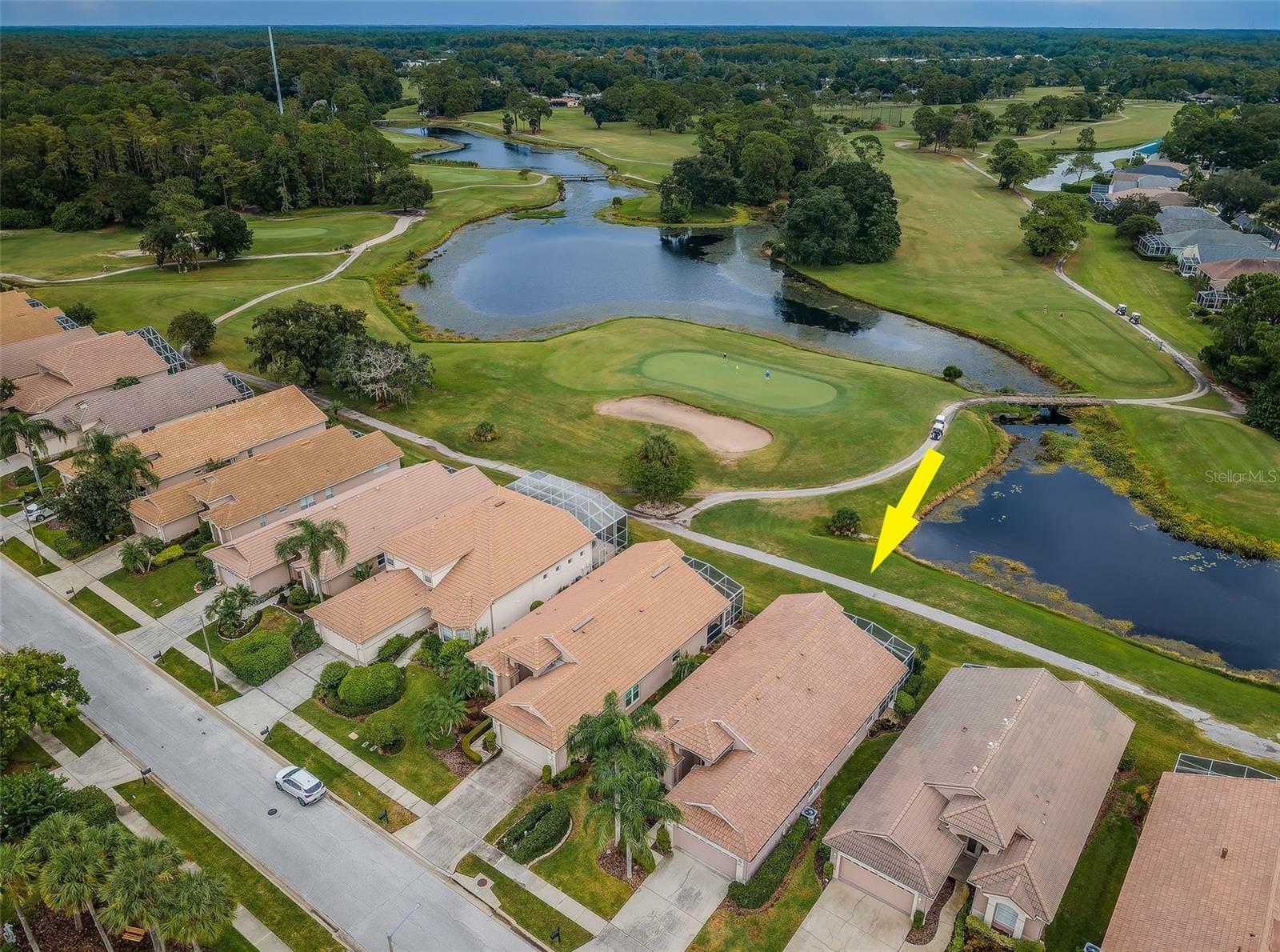 Property Photo: 4350 Live Oak Boulevard FL 34685