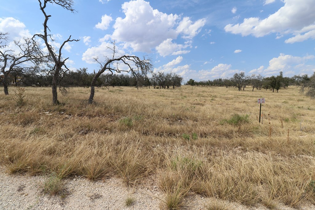 Property Photo:  501 Nott Branch Rd  TX 78631 