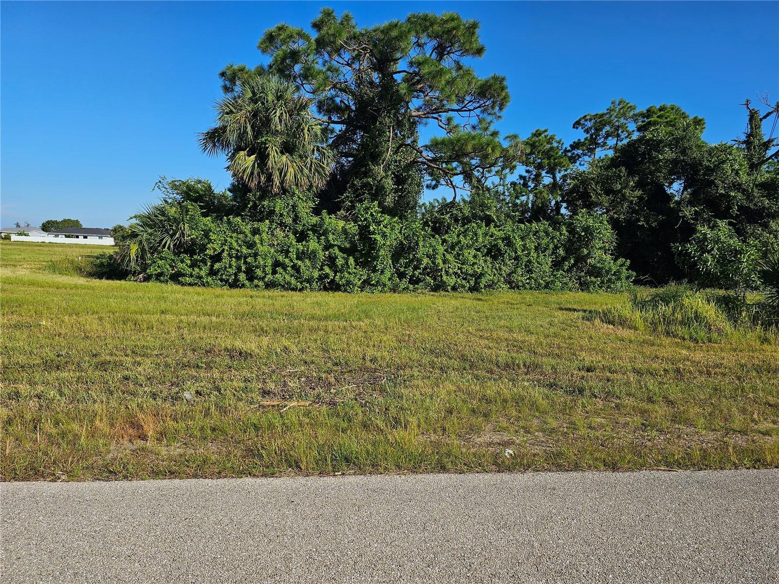 Property Photo: 1007 Ceitus Terrace FL 33991