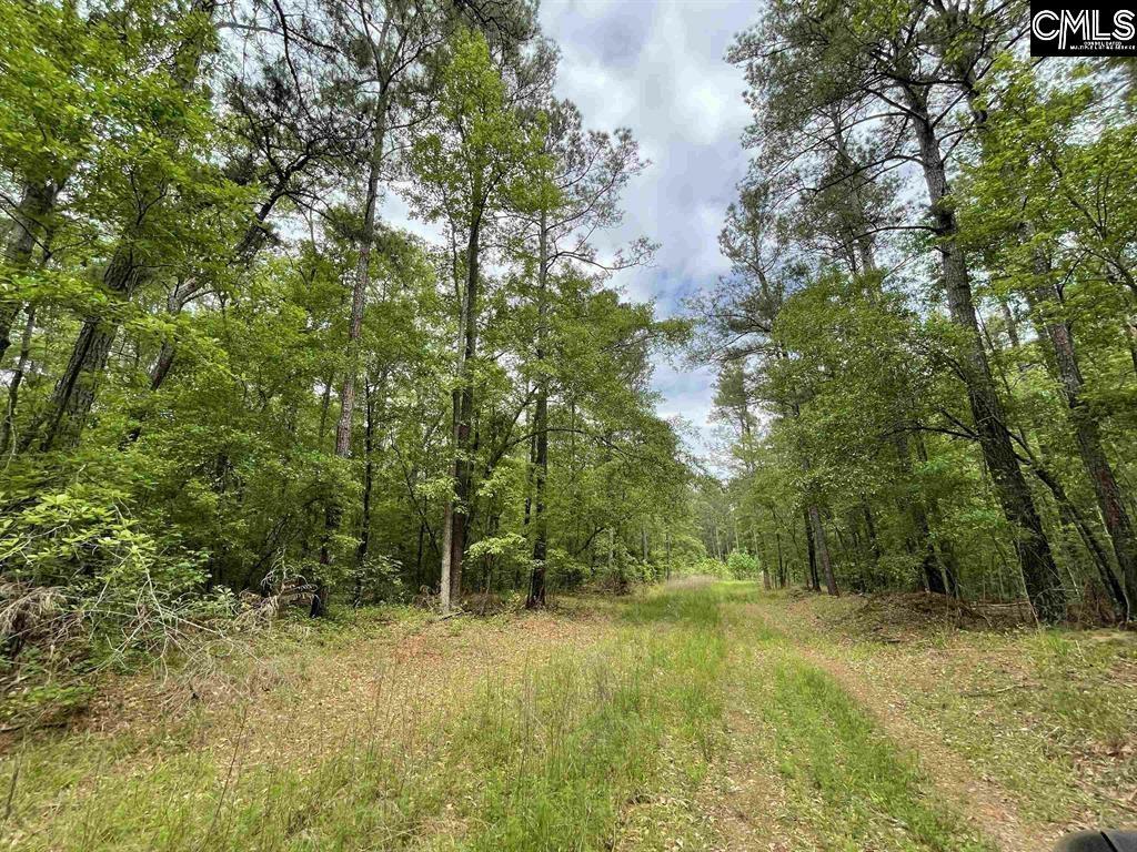 Property Photo: Bull Swamp SC 29112