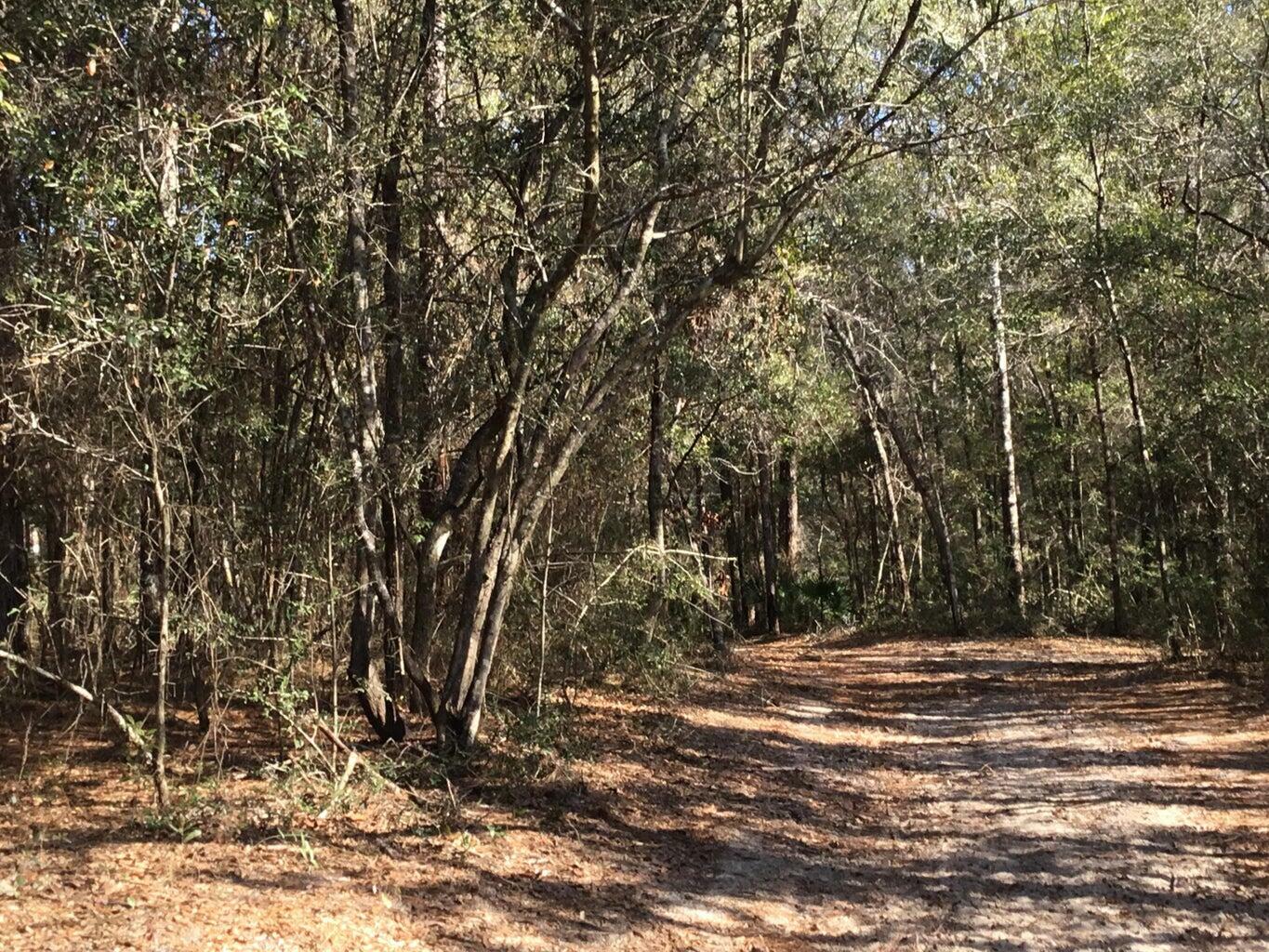 Property Photo:  33 Acres Aplin Road  FL 32539 