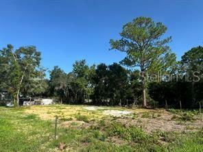 Property Photo:  Lake Marion Creek Road  FL 33844 