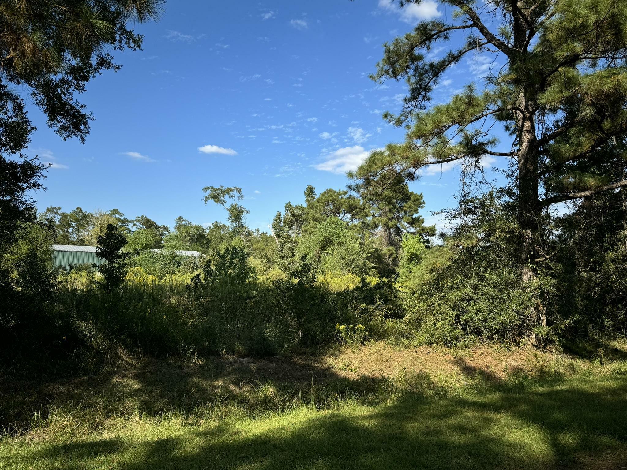 Property Photo:  Lot 73 Pine Park Blvd  TX 77632 