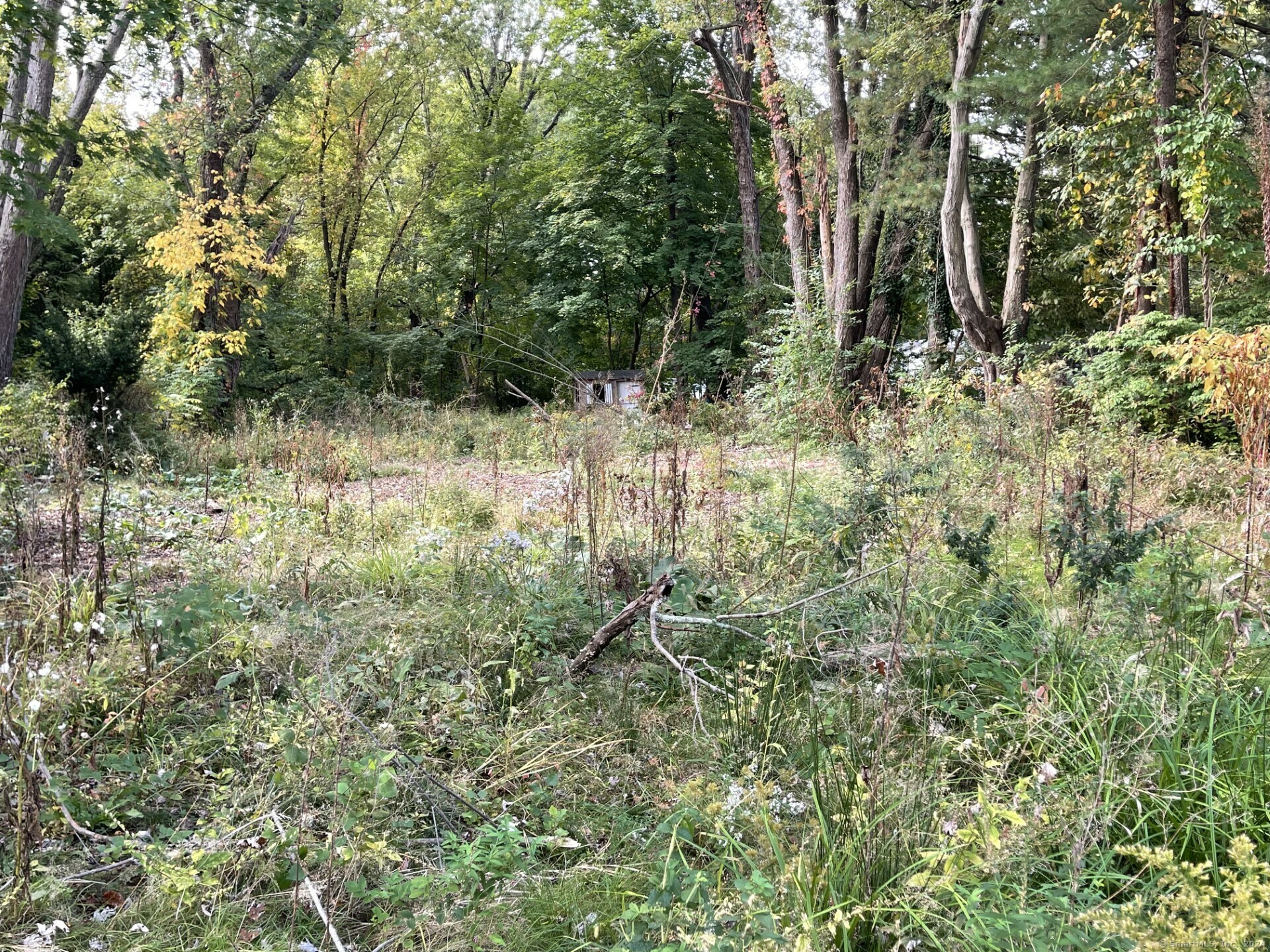 Property Photo: 124 Seymour Street CT 06095