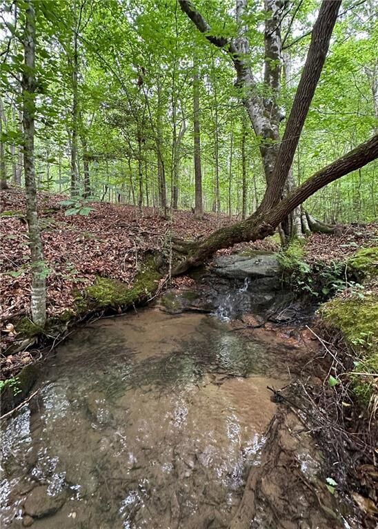 Property Photo: 1299 Singleton Road SC 29693