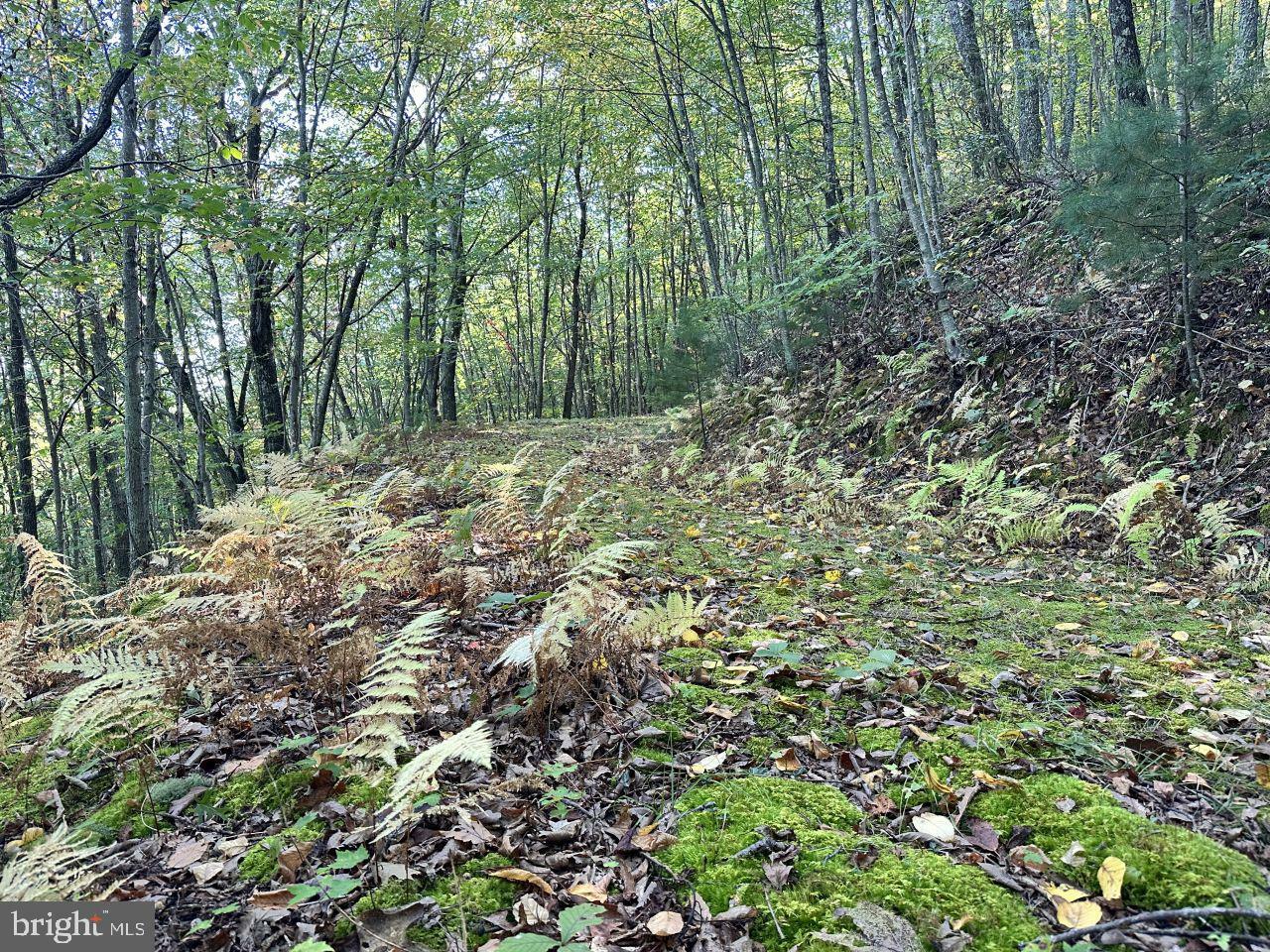 Property Photo:  0 Moncove Lake Rd.  WV 24941 