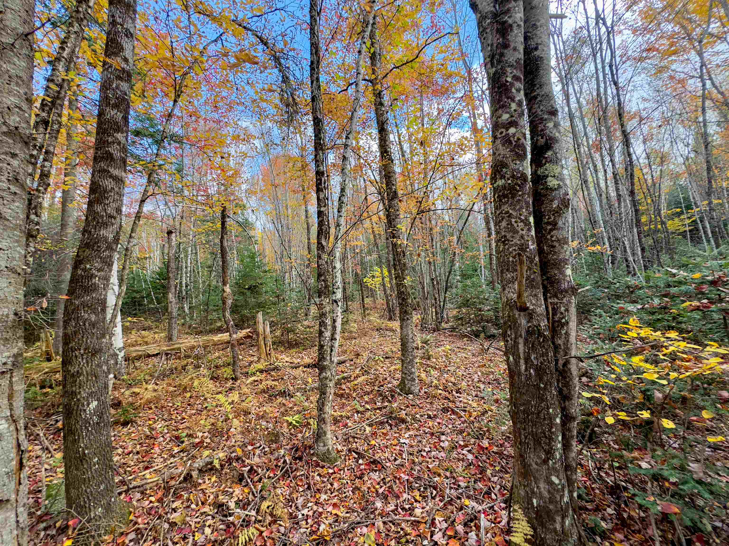 Property Photo:  00 West Main Street  VT 05906 