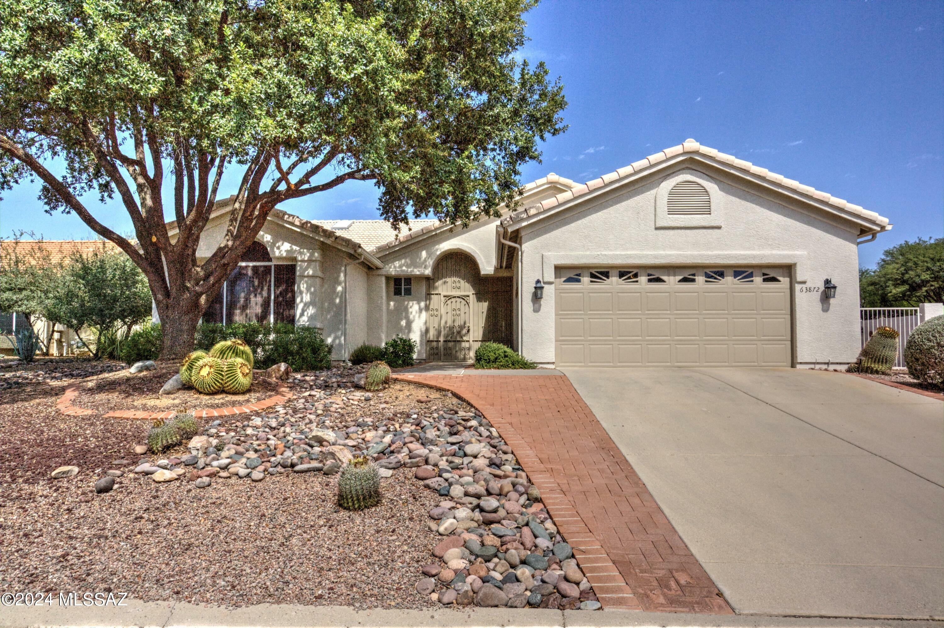 Property Photo:  63872 E Cat Claw Lane  AZ 85739 