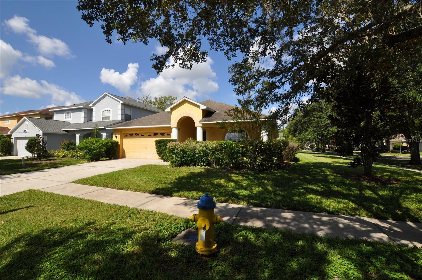 Property Photo:  613 Straw Lake Drive  FL 33510 