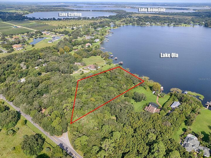 7805 Sloewood Drive  Mount Dora FL 32757 photo