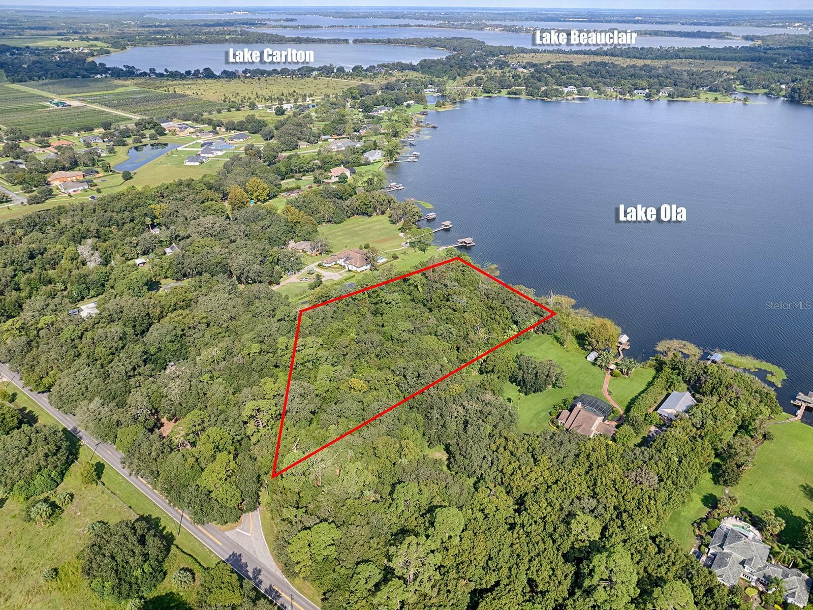 Property Photo: 7805 Sloewood Drive FL 32757