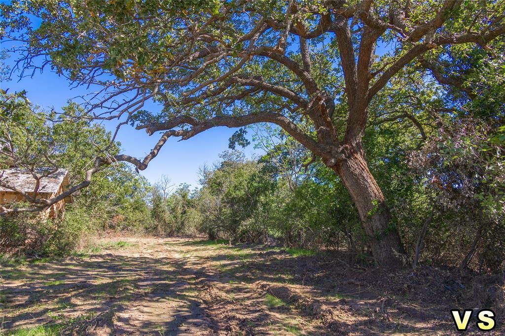 Lot 8 County Road 489  May TX 76857 photo