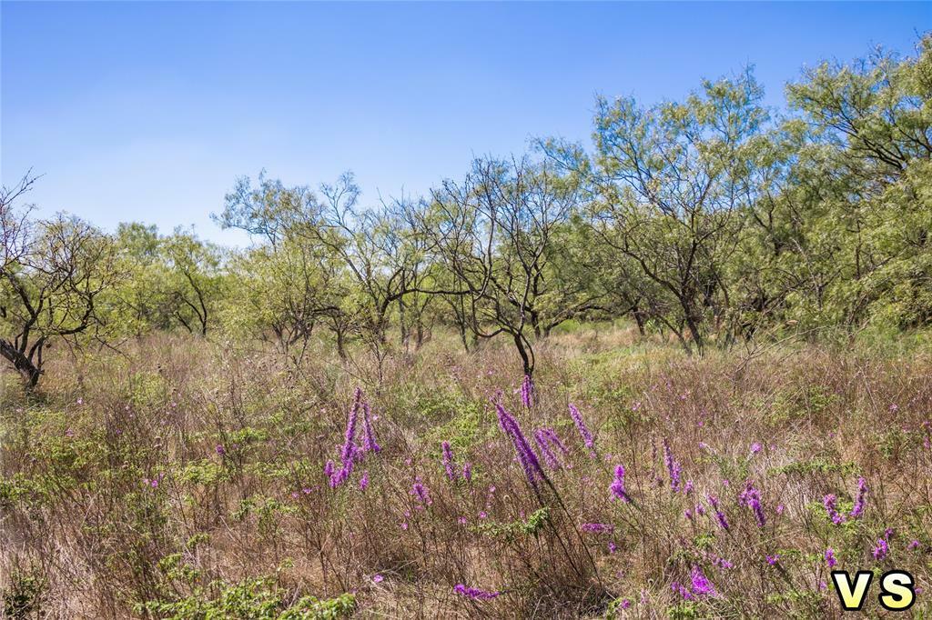 Property Photo:  Lot 3 County Road 489  TX 76857 