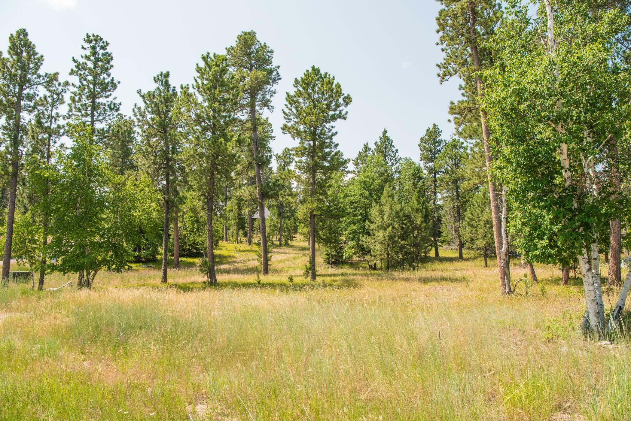 Property Photo:  Tbd Rubys Way  SD 57754 