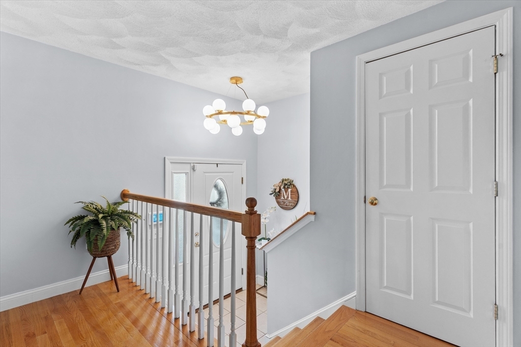 Property Photo:  19 Clayton Street  MA 01904 