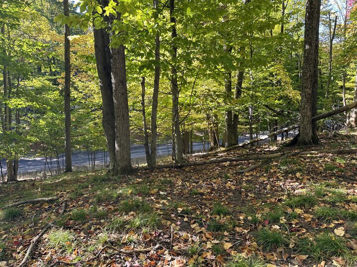 115 Doe Path Place  Gaylord MI 49735 photo
