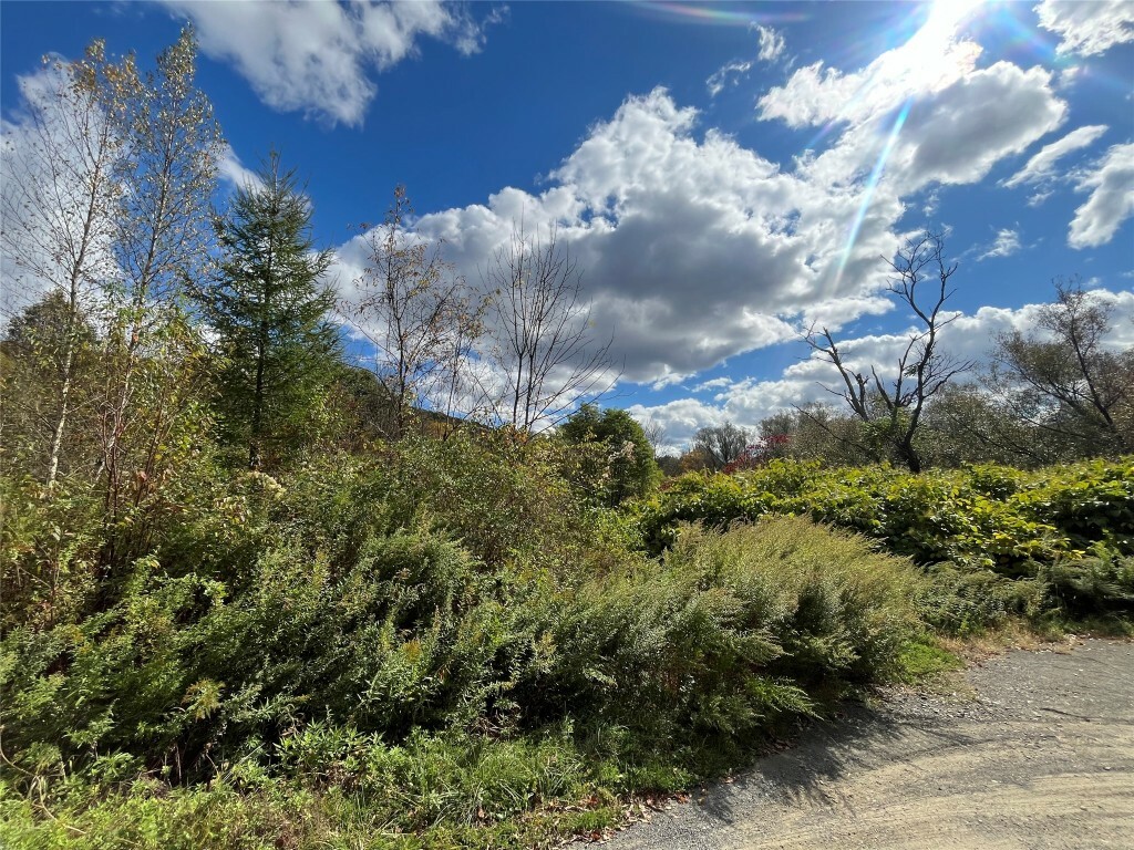 Property Photo:  295 Old Plank Road  NY 13754 