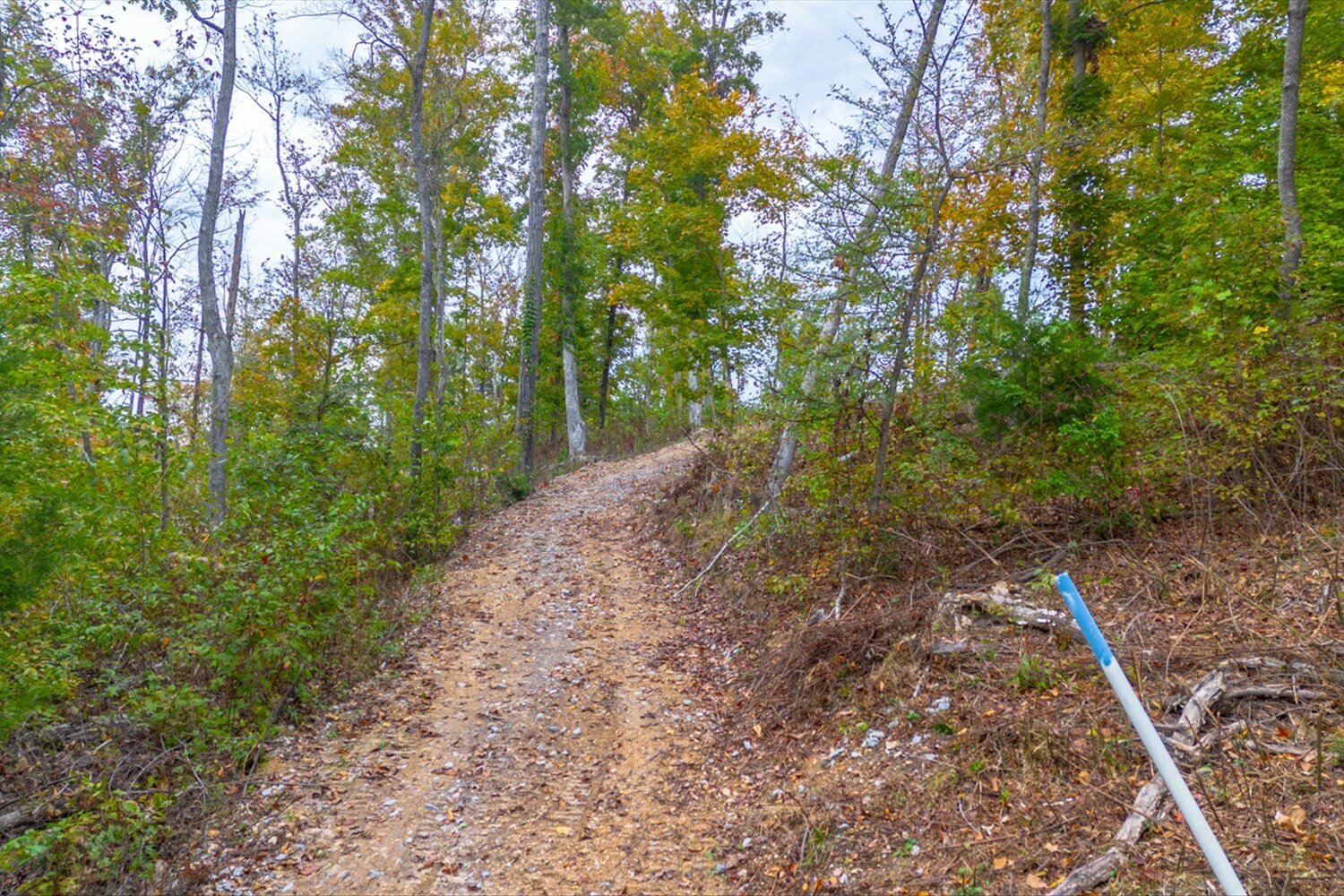 Property Photo:  0 Ross Hollow Rd  TN 37015 