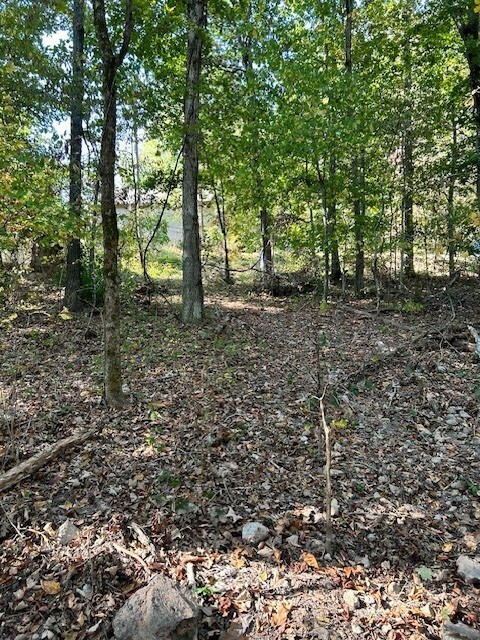 Property Photo:  Lot 16, Block 2 Judy Drive  AR 72715 