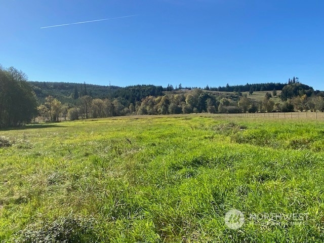 Property Photo:  951 Pleasant Valley Road  WA 98522 