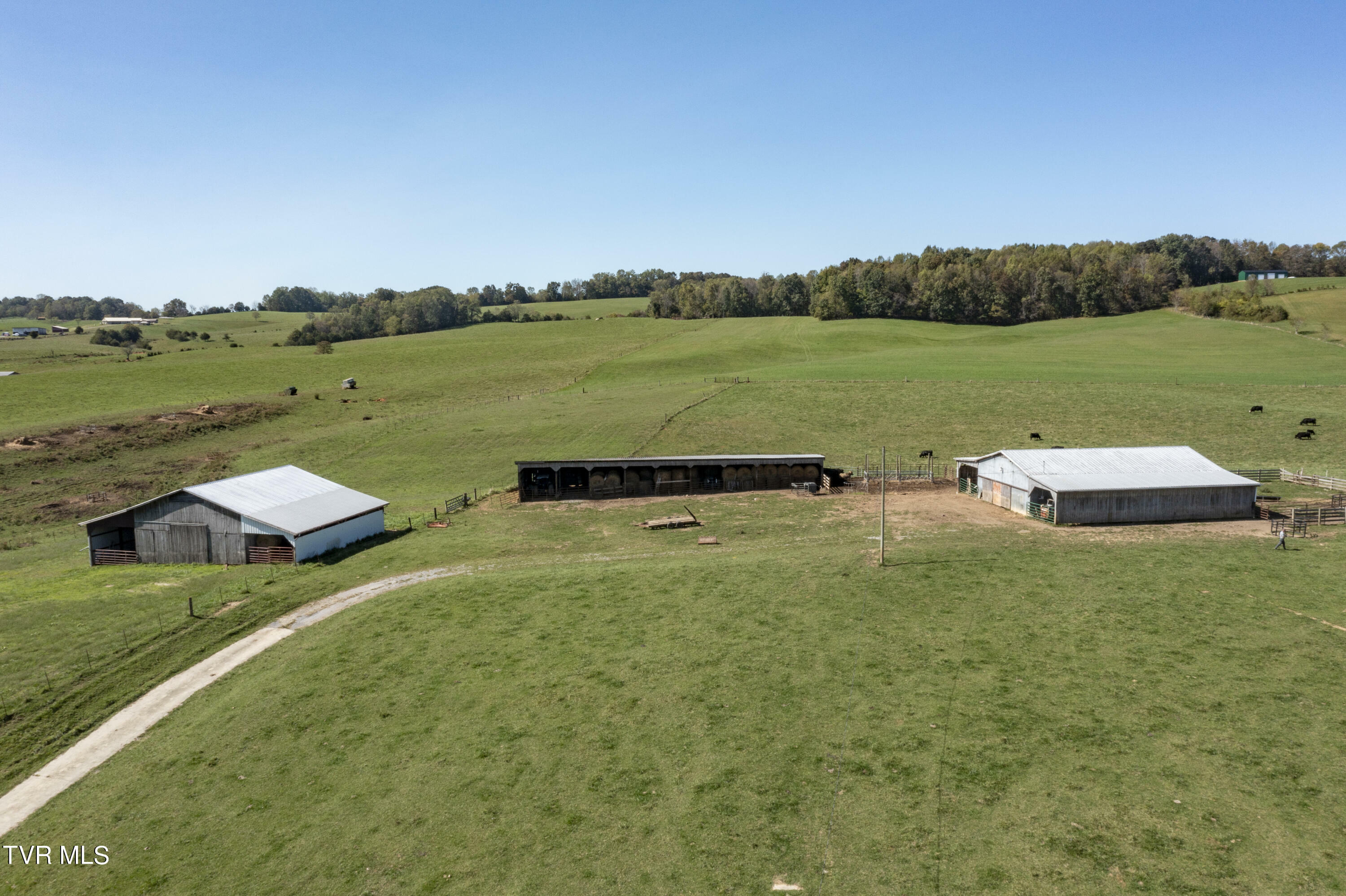 Property Photo:  1335 Old Snapps Ferry Road  TN 37641 