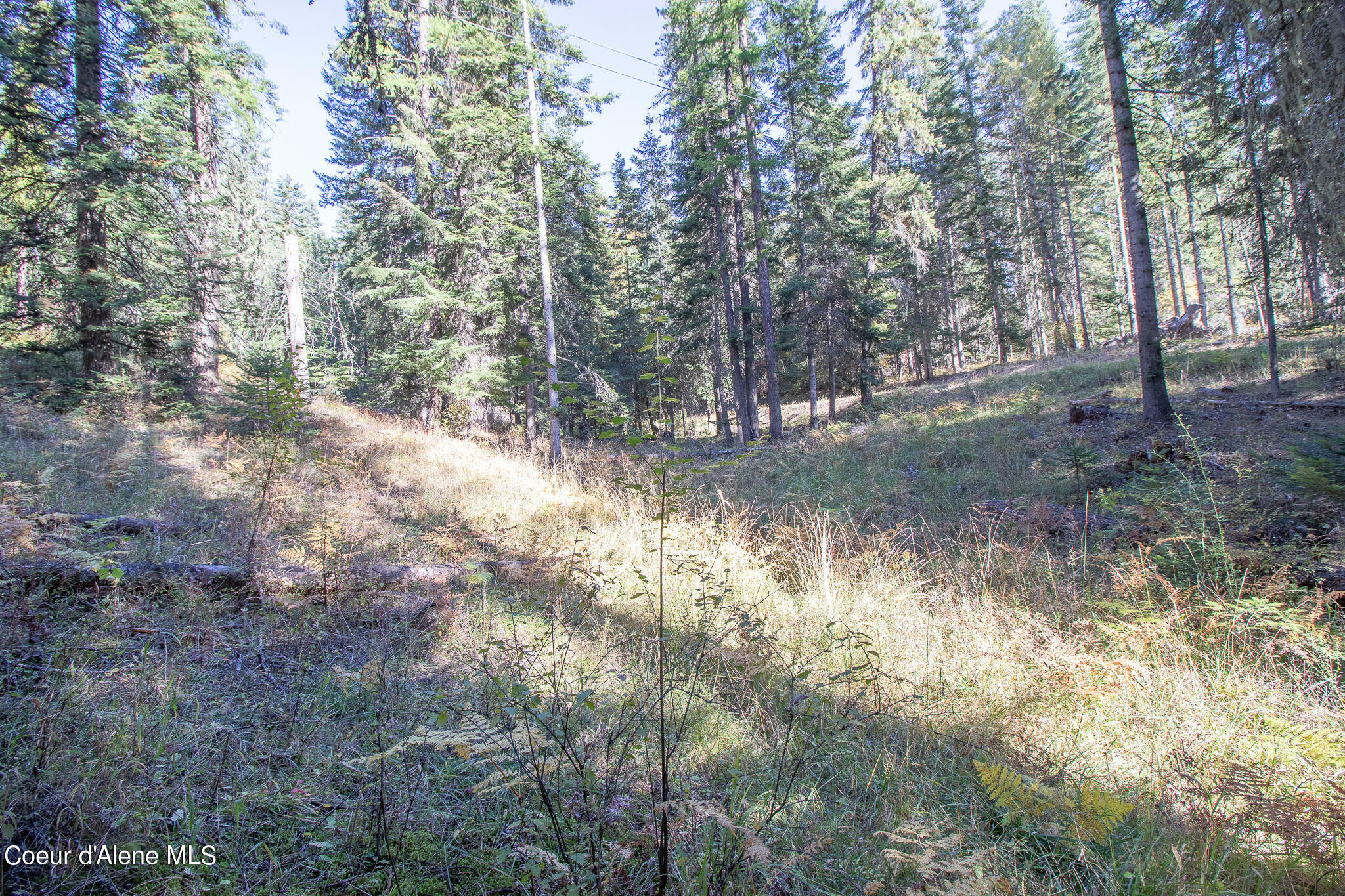 Property Photo:  Nka E Hayden Lake Rd  ID 83835 