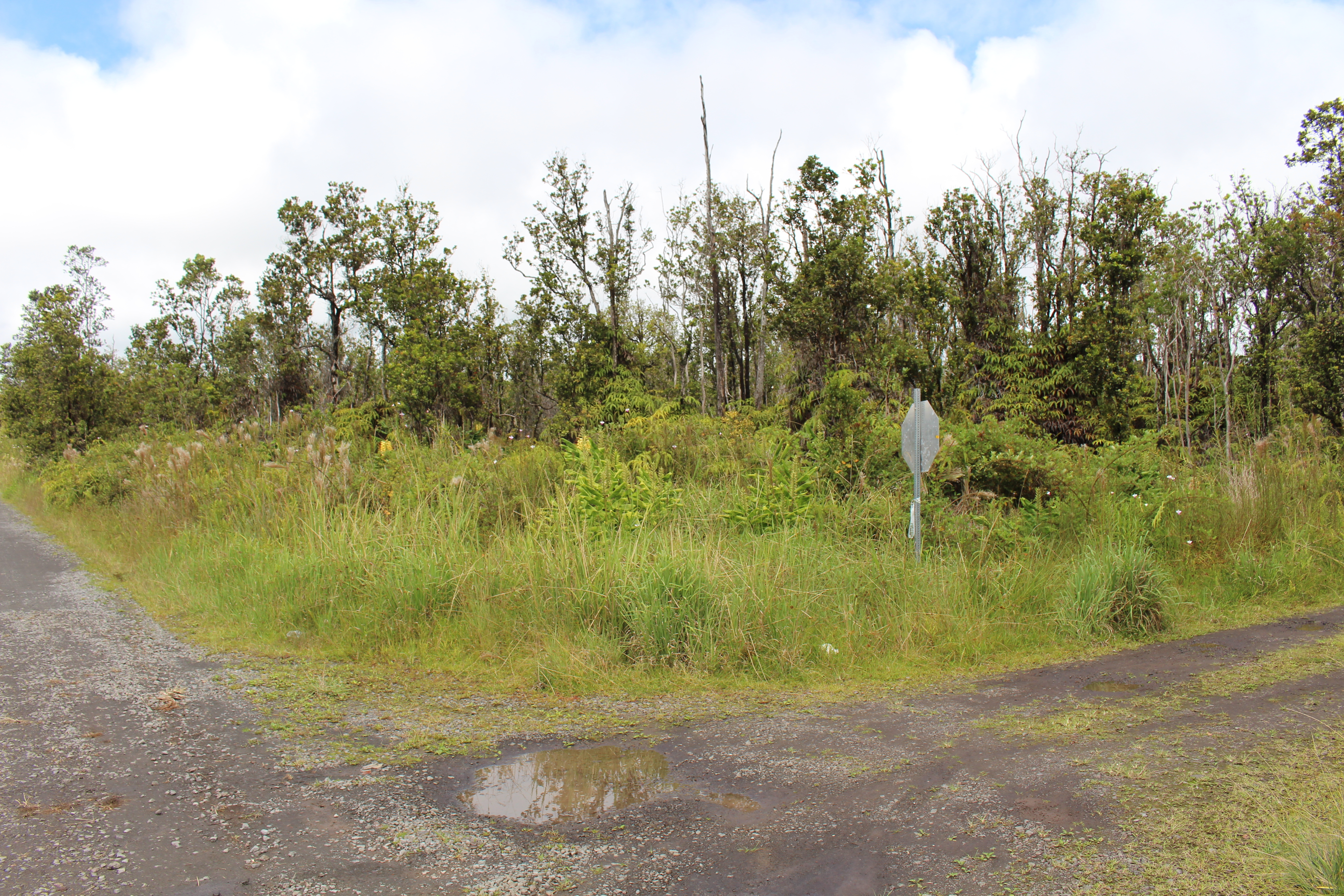 Property Photo:  Noe Kuahiwi Rd  HI 96785 