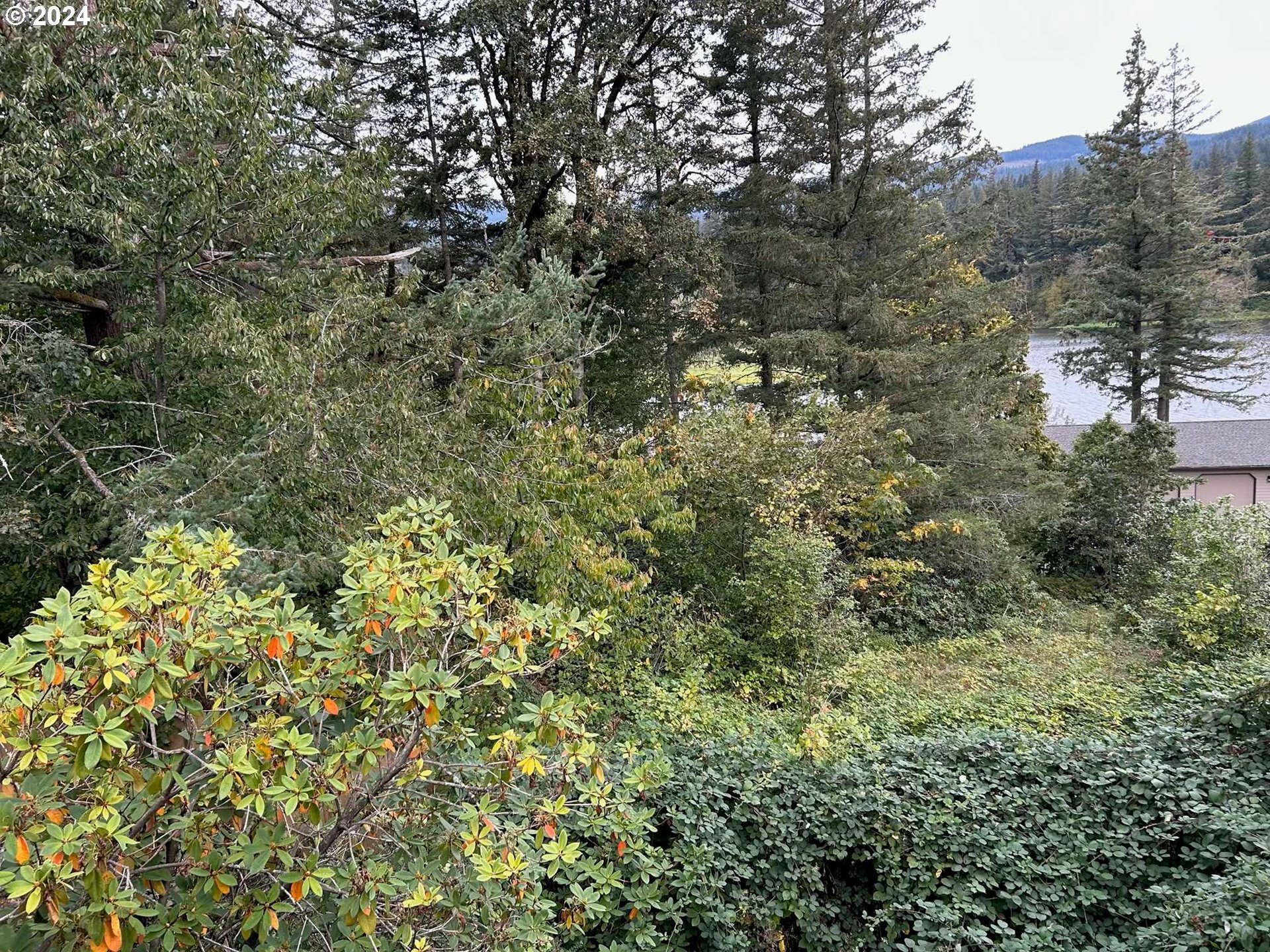 Property Photo:  24 Lake Shore Dr  WA 98648 