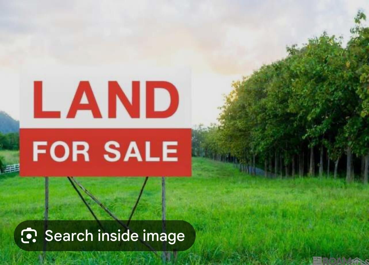 Property Photo:  Lot - 105 Ravier Ln  LA 70776