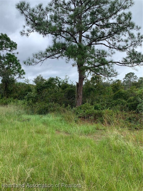 Property Photo: 1217 Cardwell Street FL 33852