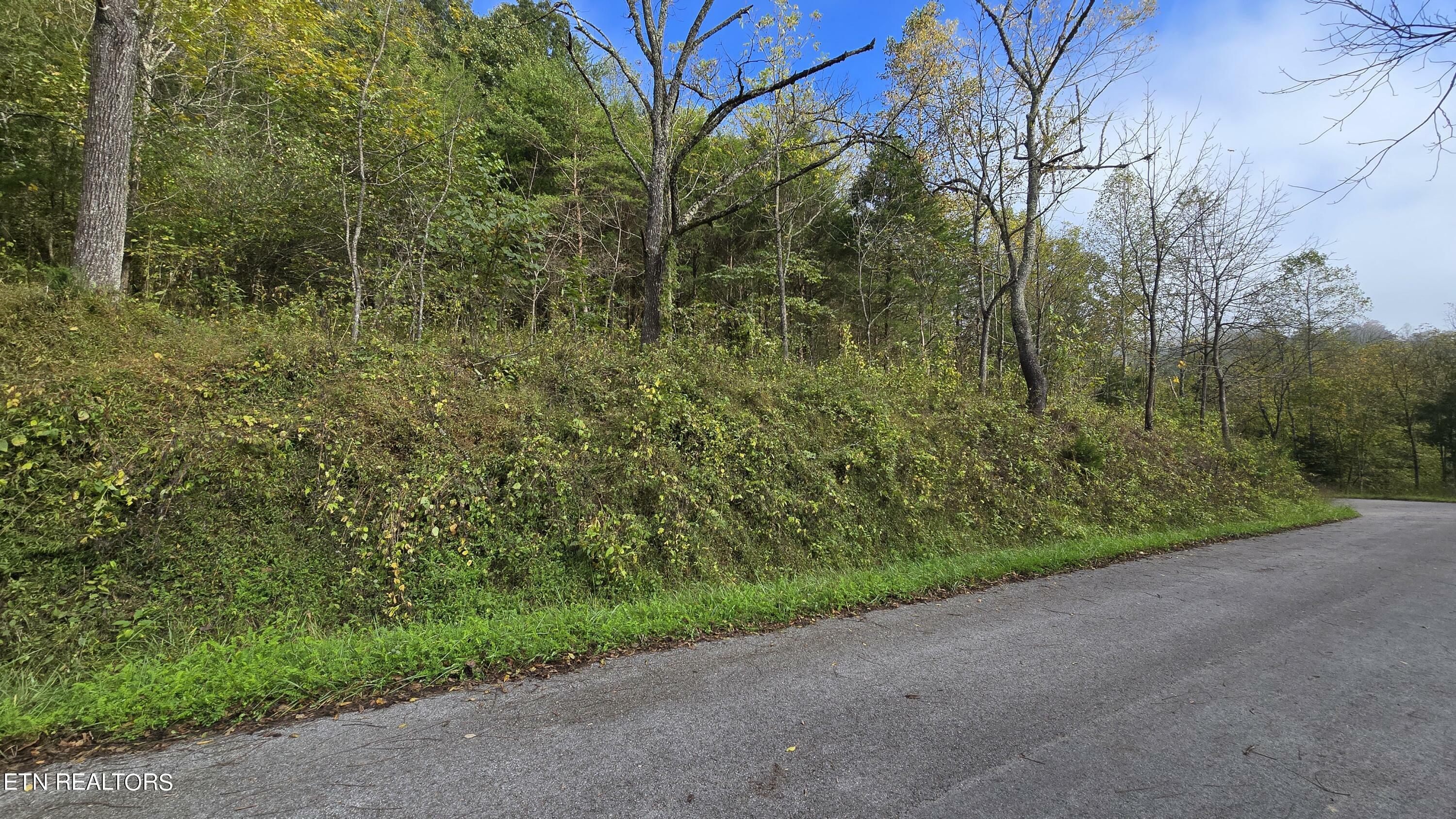 Property Photo:  Tbd Lower Wallens Creek Rd  VA 24263 