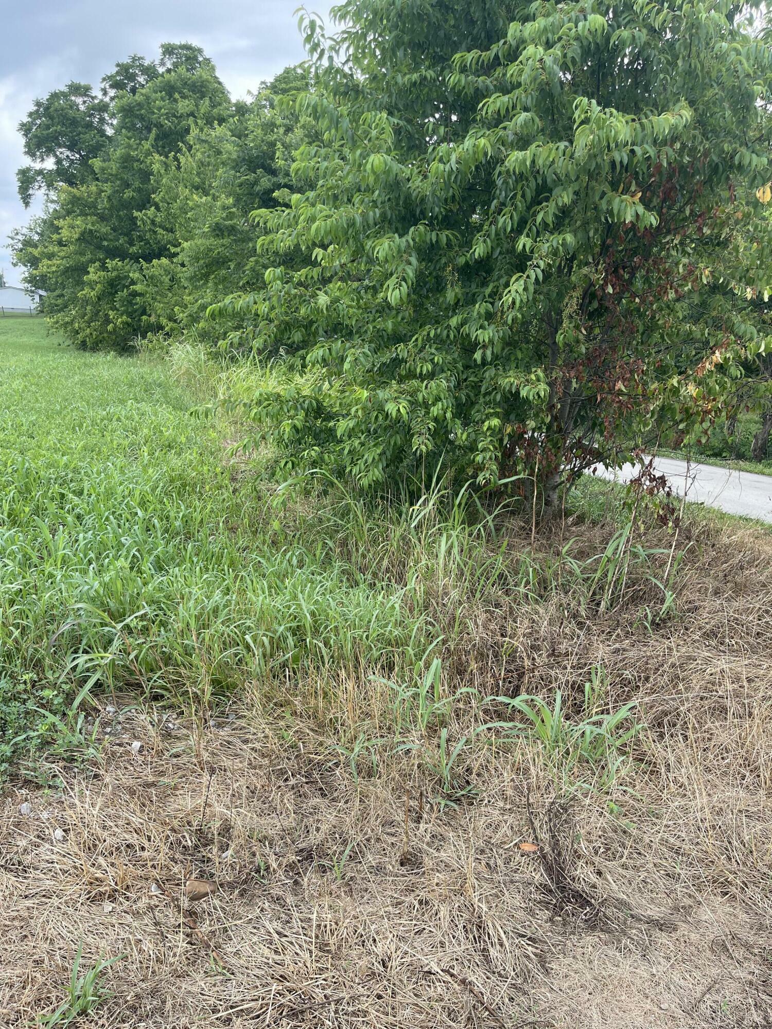 Property Photo:  0 Cassidy Pike Pike  KY 41041 