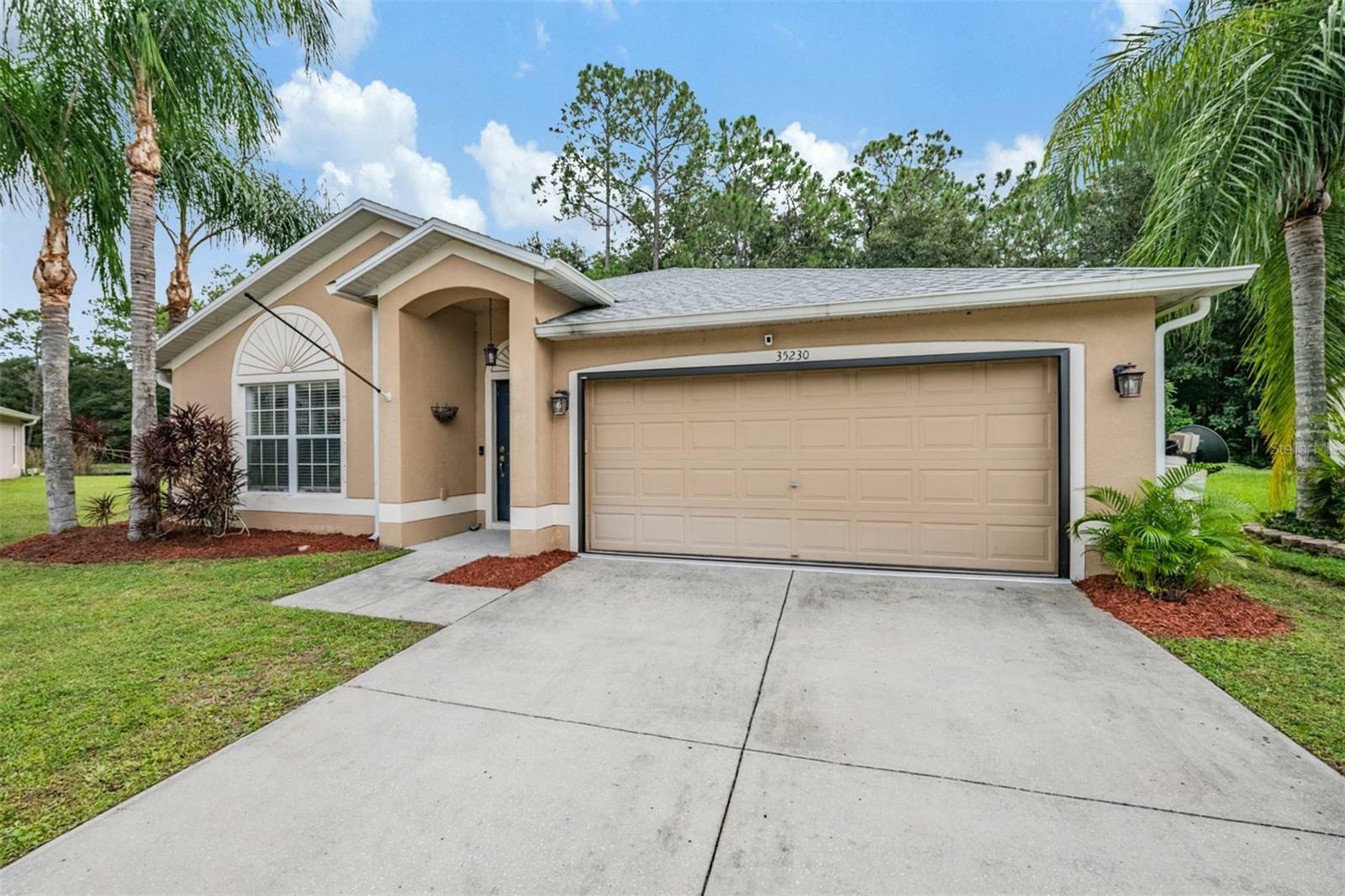 Property Photo:  35230 Meadow Reach Drive  FL 33541 