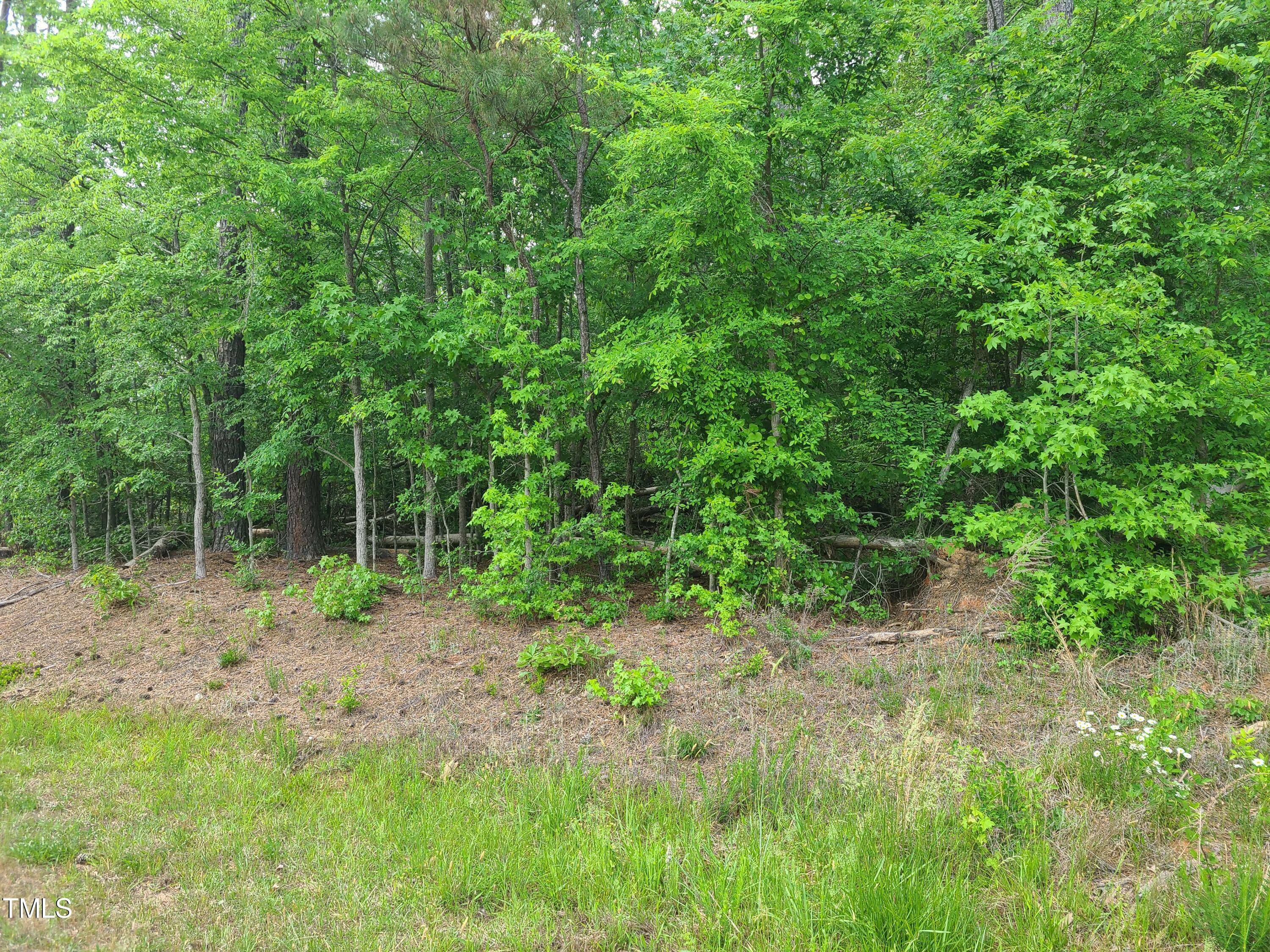 Property Photo:  123 125 Ottawa  NC 27549 