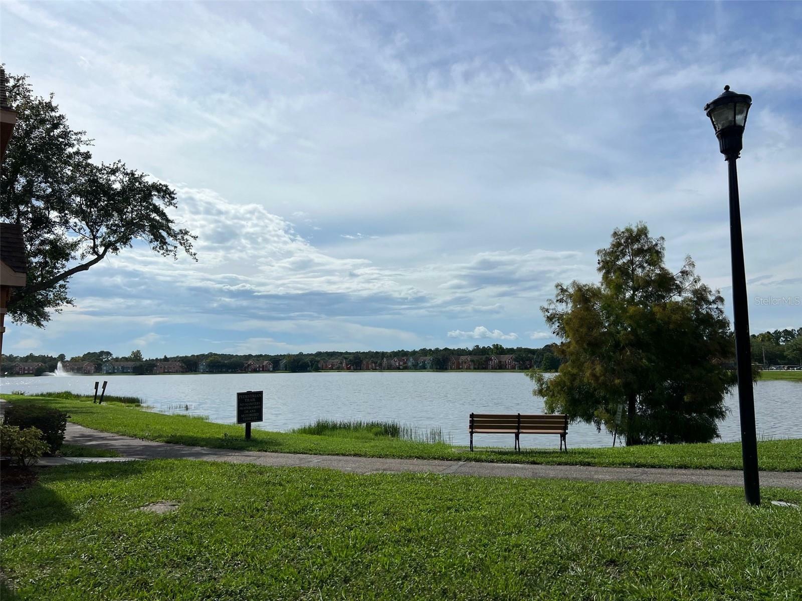 Property Photo:  9846 Lake Chase Island Way  FL 33626 