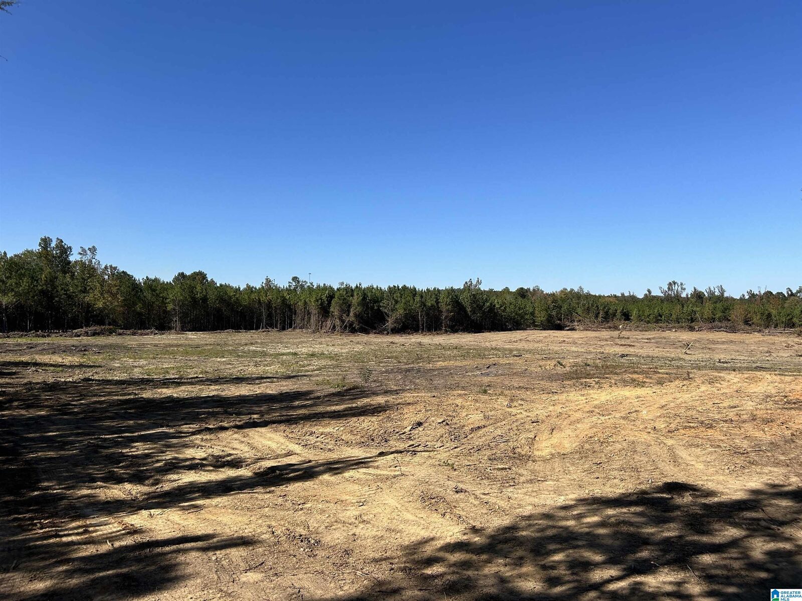 Property Photo: 26 Dover Road None AL 36271