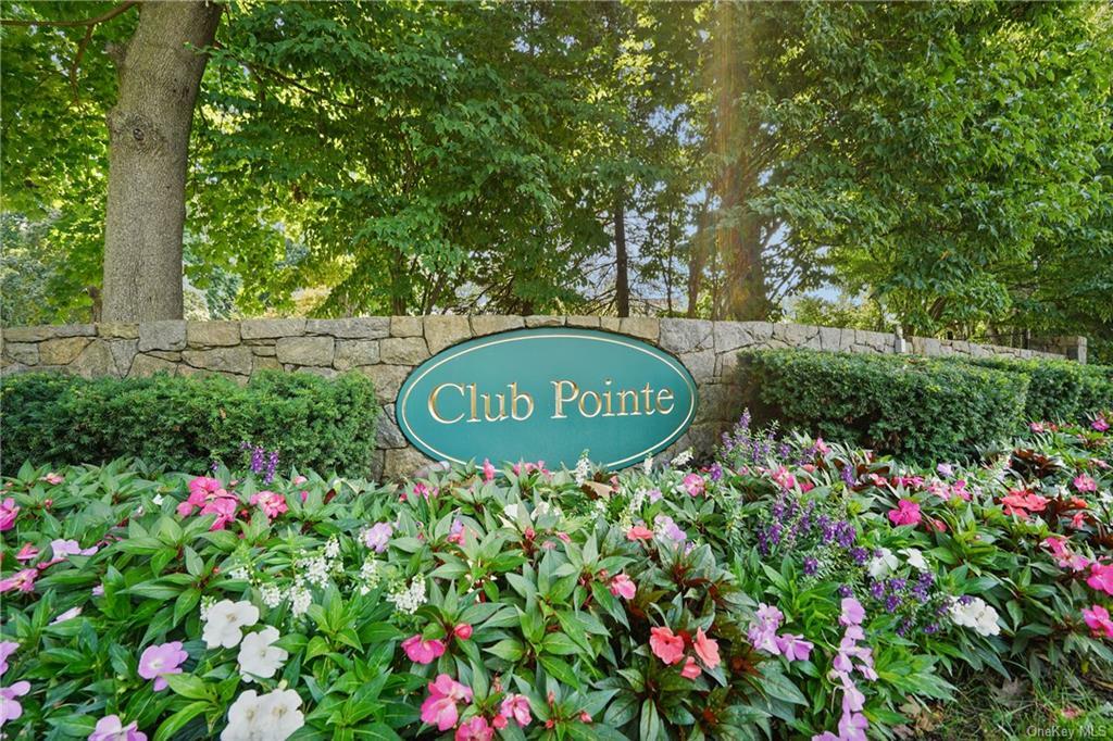 Property Photo:  61 Club Pointe Drive  NY 10605 