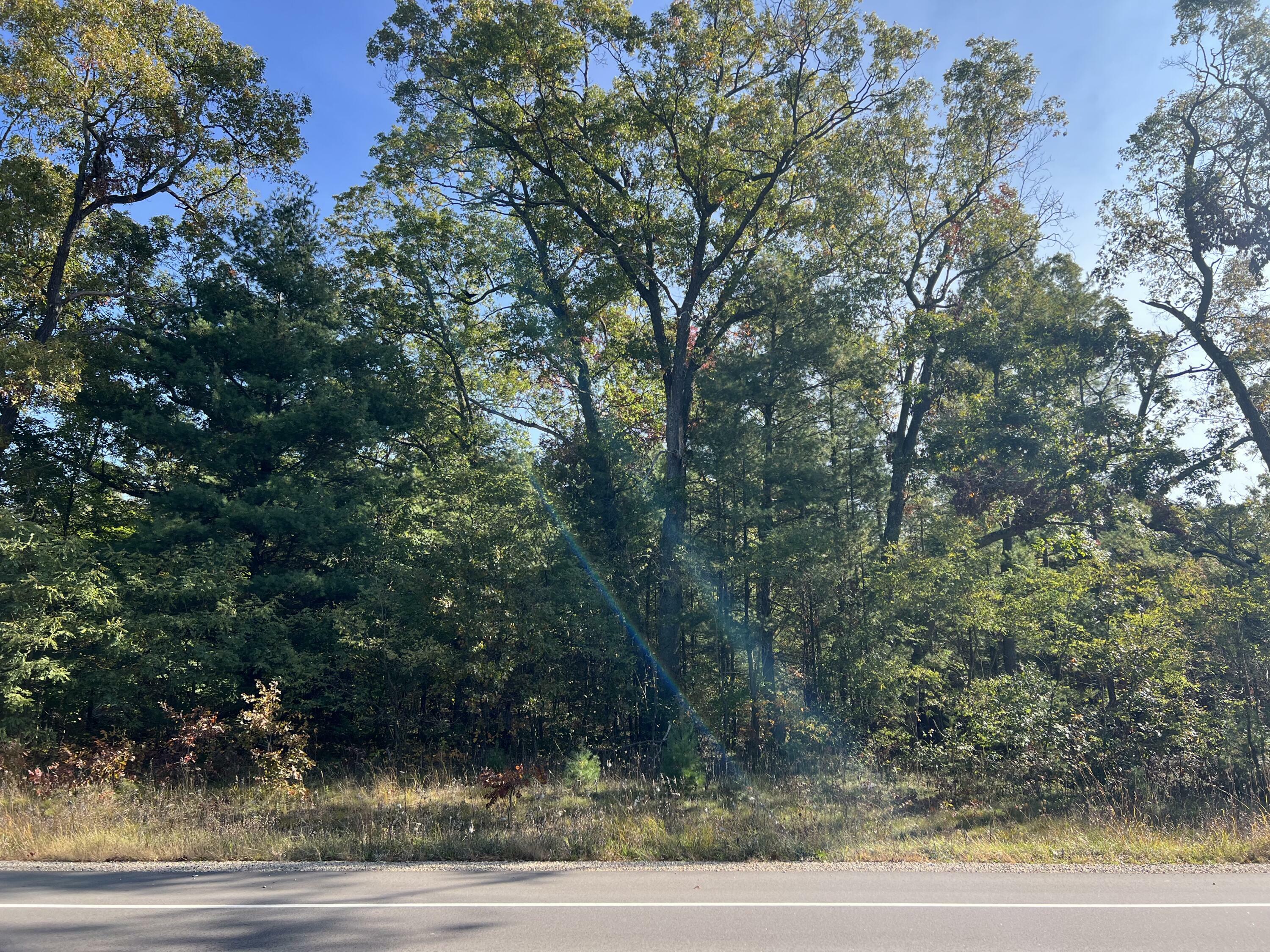 Property Photo:  Vl Whitehall Road  MI 49461 