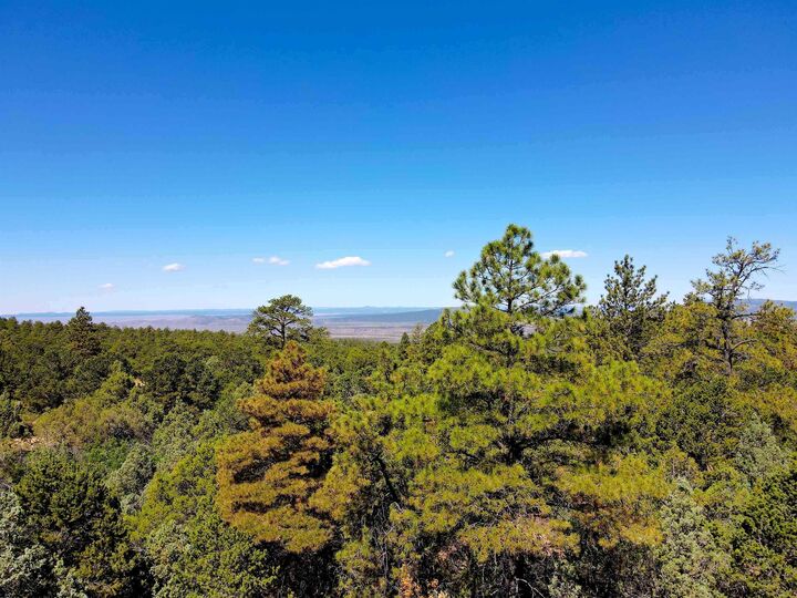 Property Photo: Tract C Forest Road 493 NM 87556