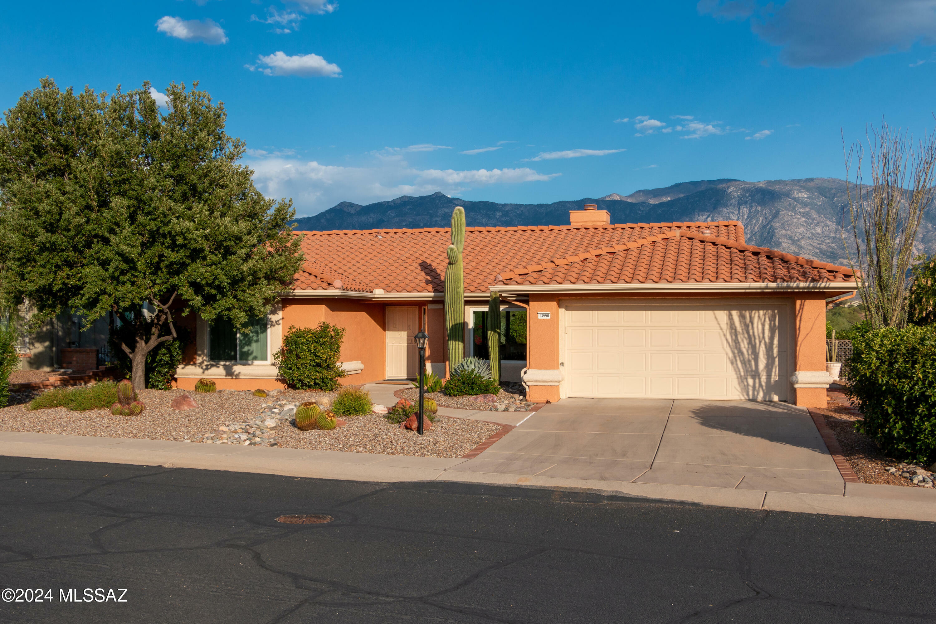 Property Photo:  13990 N Lobelia Way  AZ 85755 